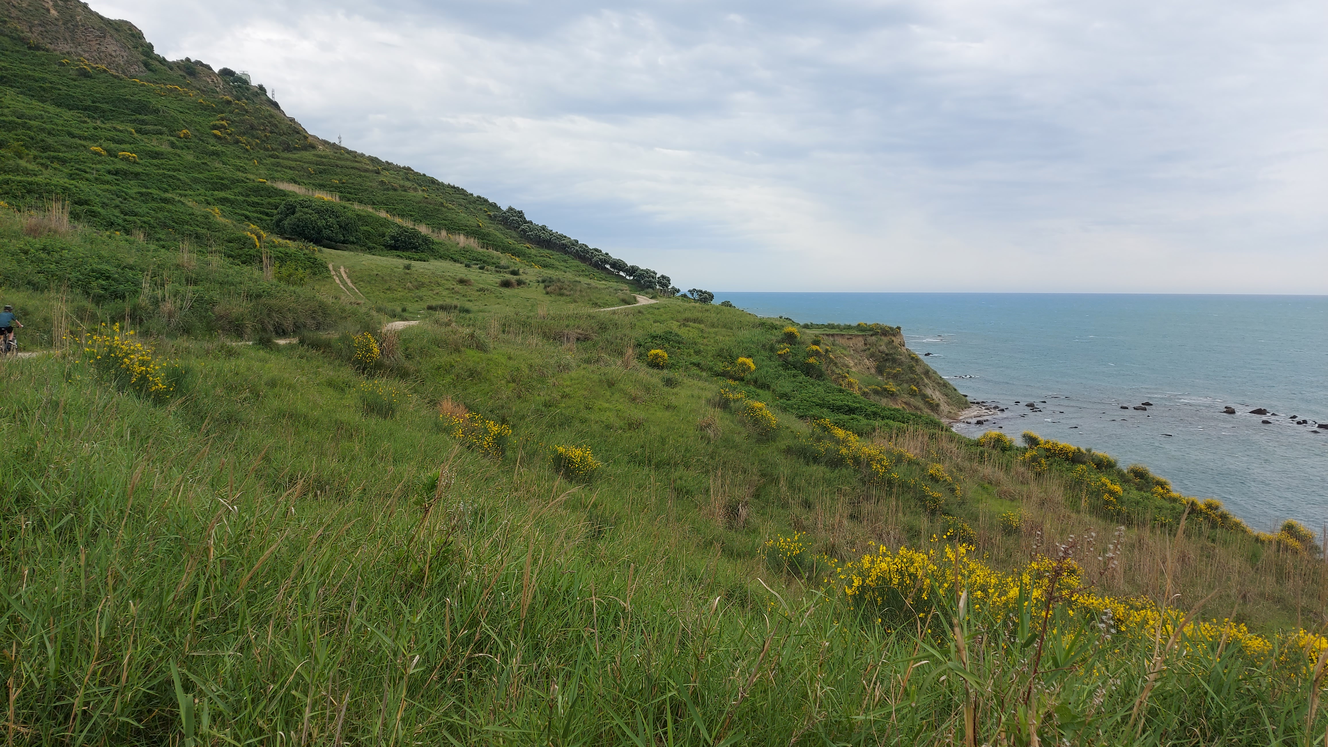 Wild beach view 2